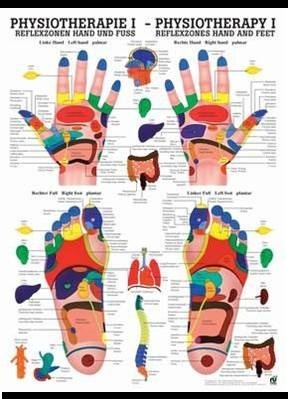 Mapa Fisioterapia I Zonas Reflexas Mãos e Pés
